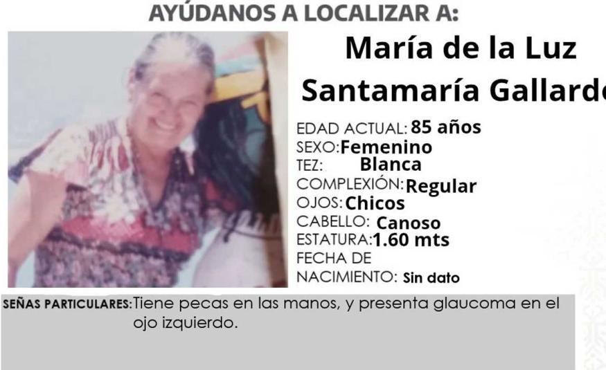 María de la Luz Santamaría